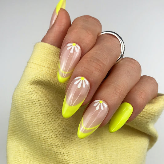 Neon Daisy